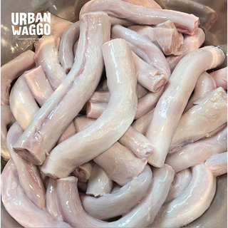 Bully Stick ตัวเดียวอันเดียววัวอบแห้ง จู๋วัว ขนมขัดฟัน ขนมสุนัข ขนมน้องหมา Urban Waggo