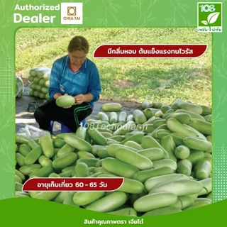 เมล็ดพันธุ์แฟงเพชรมณี ตราเจียไต๋ (50 กรัม)