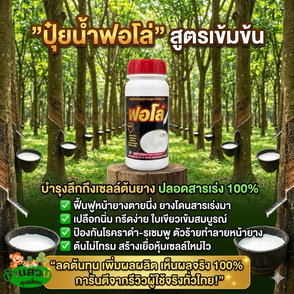 ปุ๋ยน้ำฟอโล่ บำรุงหน้ายาง ช่วยเพิ่มผลผลิต โปร 12 ขวด แถมเสื้อ+แถมแปรงฟรี