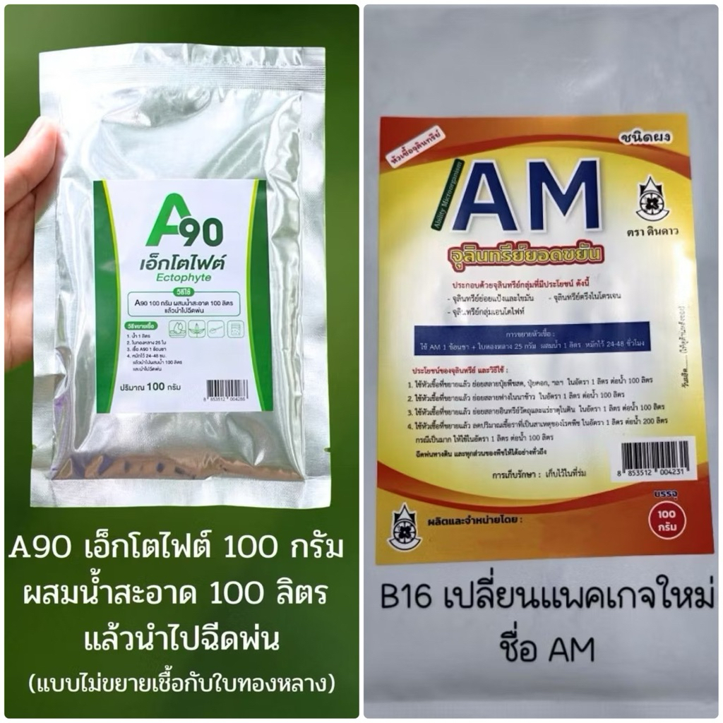Am / AM90 / B16 เอนโดไฟต์ แท้ จากผู้ผลิต [แพ็คเกจใหม่ ชื่อ AM จุลินทรีย์ยอดขยัน] ไมคอไรซ่า หัวเชื้อจาวปลวก ดับกลิ่น ปุ๋ย