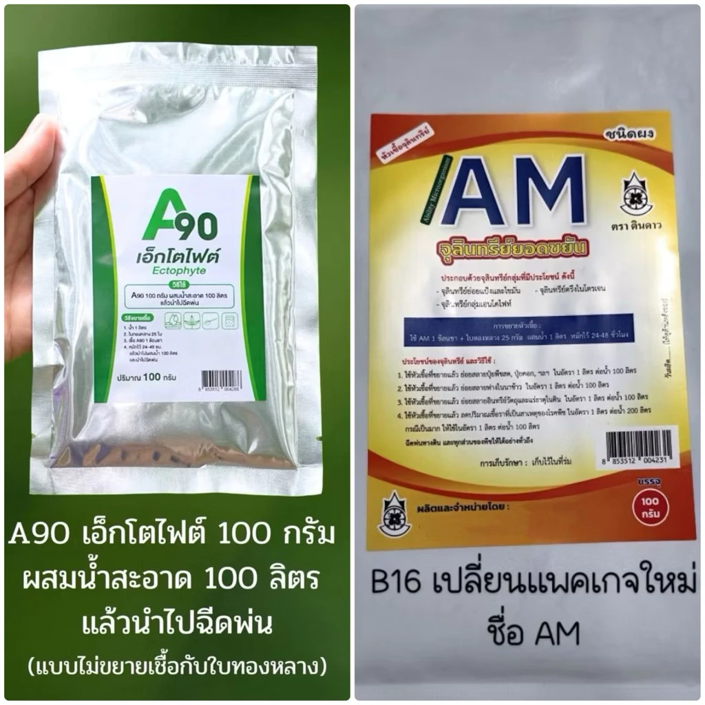 Am / AM90 / B16 เอนโดไฟต์ แท้ จากผู้ผลิต [แพ็คเกจใหม่ ชื่อ AM จุลินทรีย์ยอดขยัน] ไมคอไรซ่า หัวเชื้อจาวปลวก ดับกลิ่น ปุ๋ย