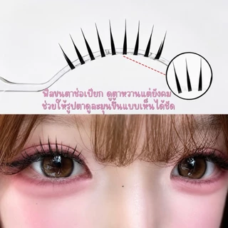 ขนตาปลอม รุ่น ANI ขนตาปลอม 3D ความยาว 12mm ให้ลุคขนตาจับช่อ สไตล์เกาหลี แกนเอ็นบางใส ขนนุ่ม น้ำหนักเบา เป็นธรรมชาติ