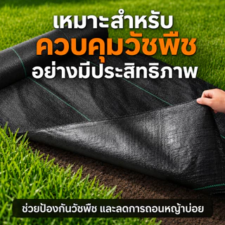ผ้าคลุมดินกำจัดวัชพืช ผ้าคลุมดินป้องกันวัชพืช ผ้าคลุม ดิน กําจัด วัชพืช หนา 70 แกรม Ground cover fabric for weed contro