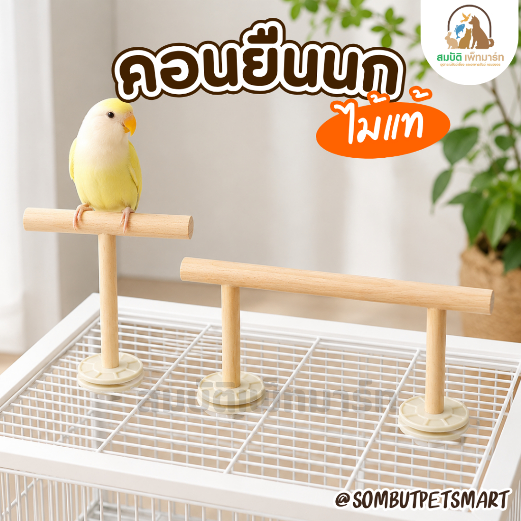 คอนไม้นก ไม้ธรรมชาติ คอนเกาะนก คอนนกติดกรง มี 2 แบบ สำหรับเลิฟเบิร์ด ฟอพัส หงส์หยก ค็อกคาเทล