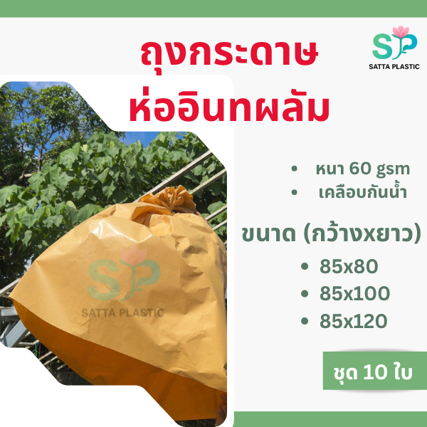 ถุงกระดาษห่ออินทผลัม ขนาด 85x80, 85x100, 85x120 ซม. | แพ็ค 10 ใบ | เคลือบกันน้ำ