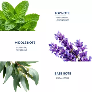 Kraam Aromage Mentha Rica Body Oil 30 ml อโรเมจ เมนธาริก้า บอดี้ ออยล์ กลิ่นเมนธาริก้า ผิวชุ่มชื้น + ลดเลือนริ้วรอย