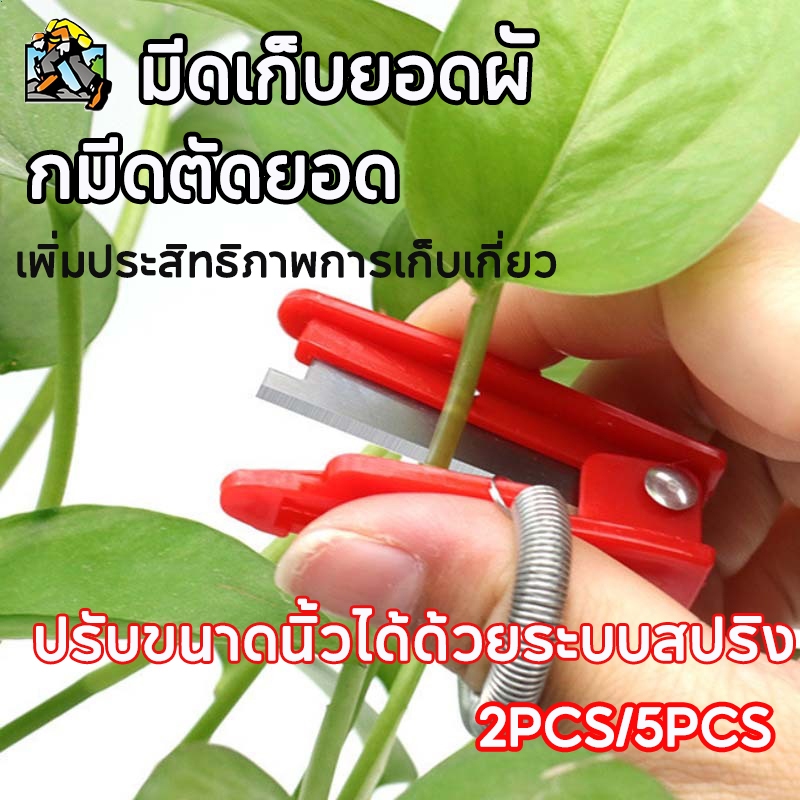 มีดเก็บยอดผัก มีดตัดยอด ใช้สำหรับเก็บต้นกล้าชาและยอดอ่อน มีดหยิบสแตนเลส ใบมีดคม ป้องกันมือของคุณจากการบาดเจ็บ