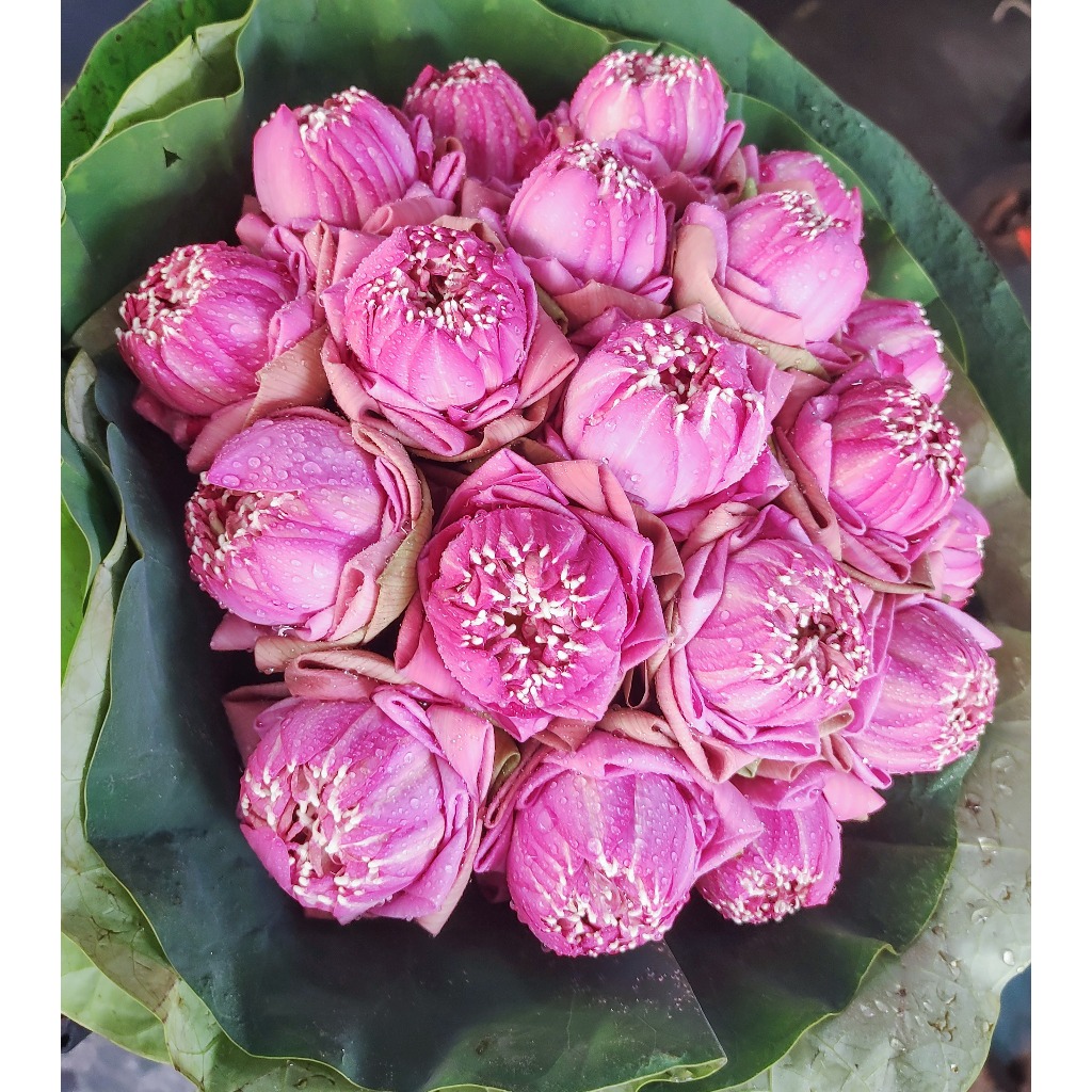 ช่อดอกบัว10 ดอก 19 ดอก สีชมพู สีขาว ส่งตรงจากปากคลองตลาด ส่งด่วน กทม.