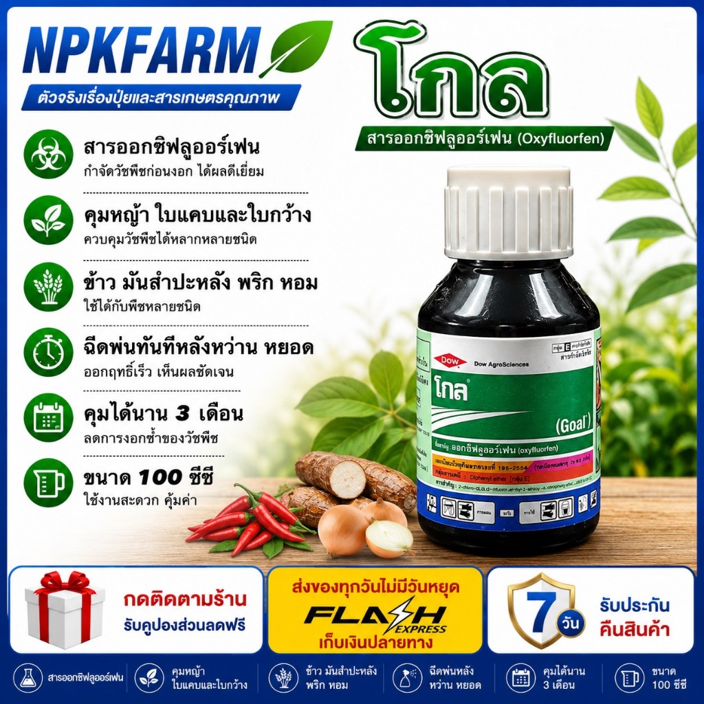 โกล 2 อี ขนาด 100 ซีซี สารออกซีฟลูออร์เฟน ใช้คุมวัชพืชก่อนวัชพืชงอกในพริก หอม มันสำปะหลัง กระเทียม