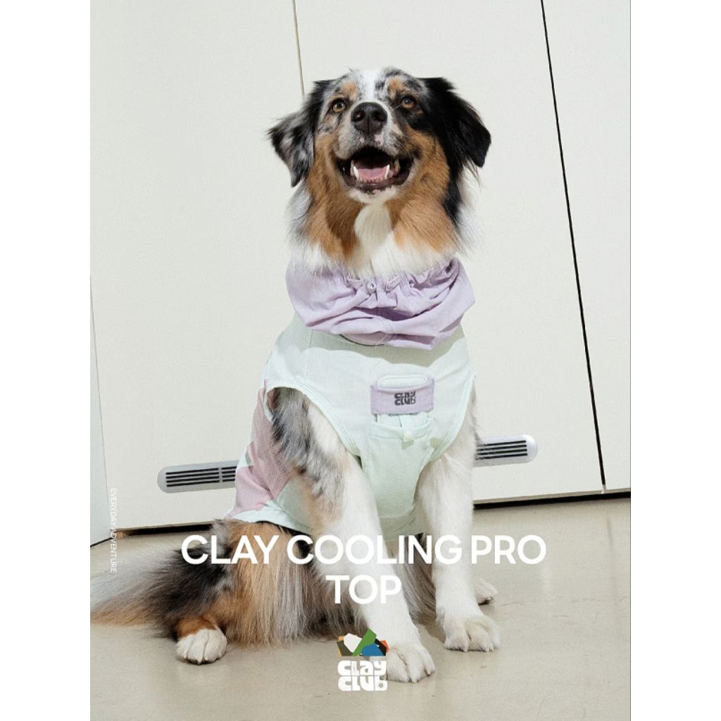 เสื้อเย็น กันแดด พร้อมหมวกคลุมใบหู เสื้อสำหรับสัตว์เลี้ยง Puppy Gallery รุ่น Clay Cooling Pro Top