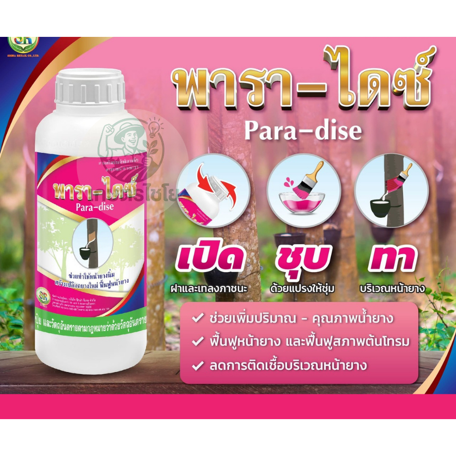 พาราไดซ์ ยาทาหน้ายางเหมาะสำหรับยางอายุไม่เกิน15ปี