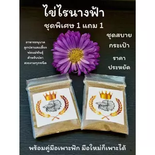 ไข่ไรนางฟ้า ซื้อ 1 แถม 1 ชุดสบายกระเป๋า (ซองละ 0.7 กรัม 2 ซอง ) อาหารอนุบาลลูกปลาและเลี้ยงพ่อแม่พันธุ์ พร้อมคู่มือ