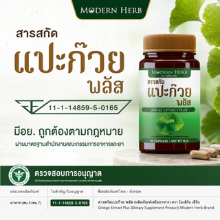 Modern Herb Ginkgo Extract Plus สารสกัดแปะก๊วย