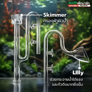 Inflow Outflow Glass Pipe Lilly /Spin/Skimmer ท่อแก้วตู้ไม้น้ำ ดีไซน์หรู น้ำไหลสวยตู้ดูพรีเมียม