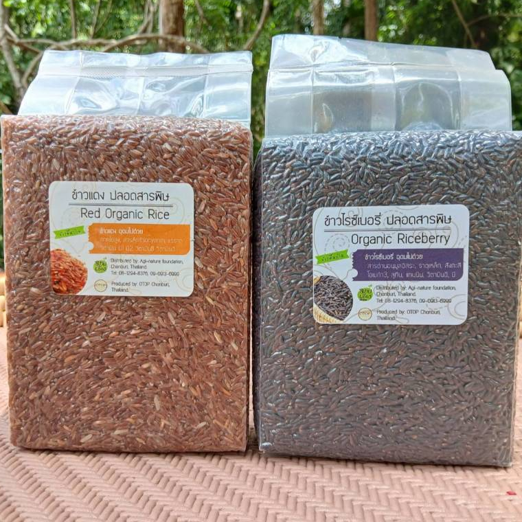 ข้าวกล้องมะลิแดงอินทรีย์ และ ข้าวไรซ์เบอร์รี่อินทรีย์ โดย มาบเอื้อง