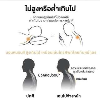 หมอน หมอนสุขภาพ แก้ปวดคอ บ่า ไหล่ สัมผัสนุ่ม 3D ลดการนอนกรน ป้องกันไรฝุ่น ไม่เสียรูปหลังนอนนาน ⚡พร้อมส่ง