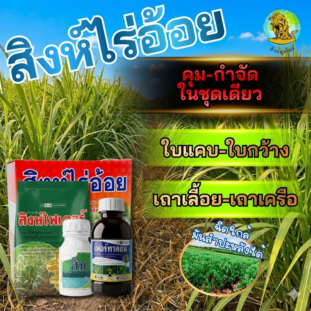 สิงห์ไร่อ้อย คุณภาพดี สำหรับการปลูกในชุดเดียว ใบแคบ-ใบกว้าง เถาเลื่อย-เถาเครือ (ฉีดใกล้มันสำปะหลังได้)
