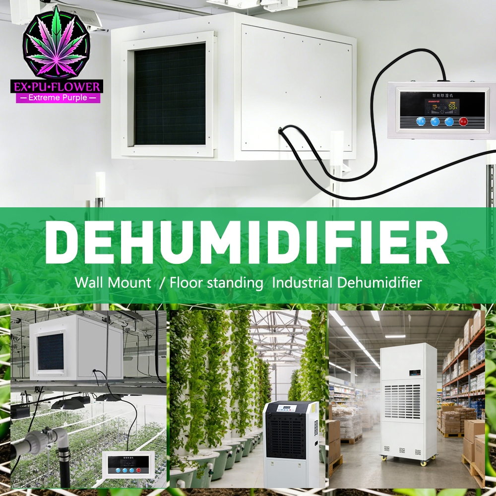 เครื่องลดความชื้น Dehumidifier 156L 240Lเครื่องลดความชื้นกรีนเฮาส์ เสียงเงียบประหยัดพลังงาน สำหรับเรือนกระจก ชั้นใต้ดิน