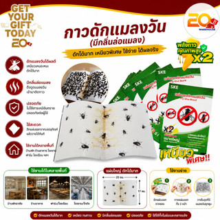 20warehouse กาวดักแมลงวัน ของแท้ 100% แผ่นกาวดักแมลงรุ่นใหม่ พลังกาวคุณภาพ X2 กาว ดักแมลง