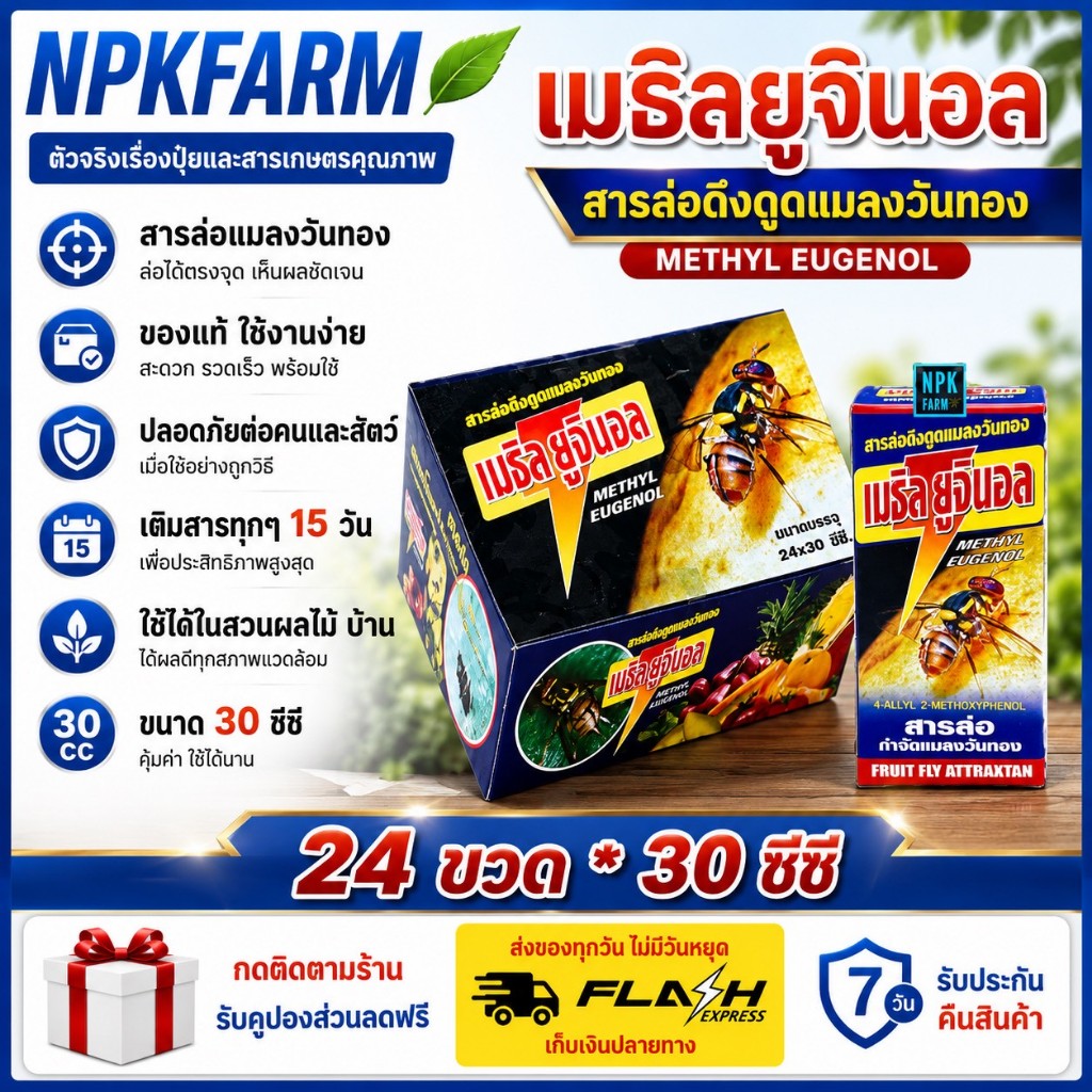 ยกลัง เมธิลยูจินอล สารล่อแมลงวันทอง เมทิลยูจินอล ขนาด 30 ซีซี ยกลัง 24 ขวด ฆ่าแมลงวันทองในตัว
