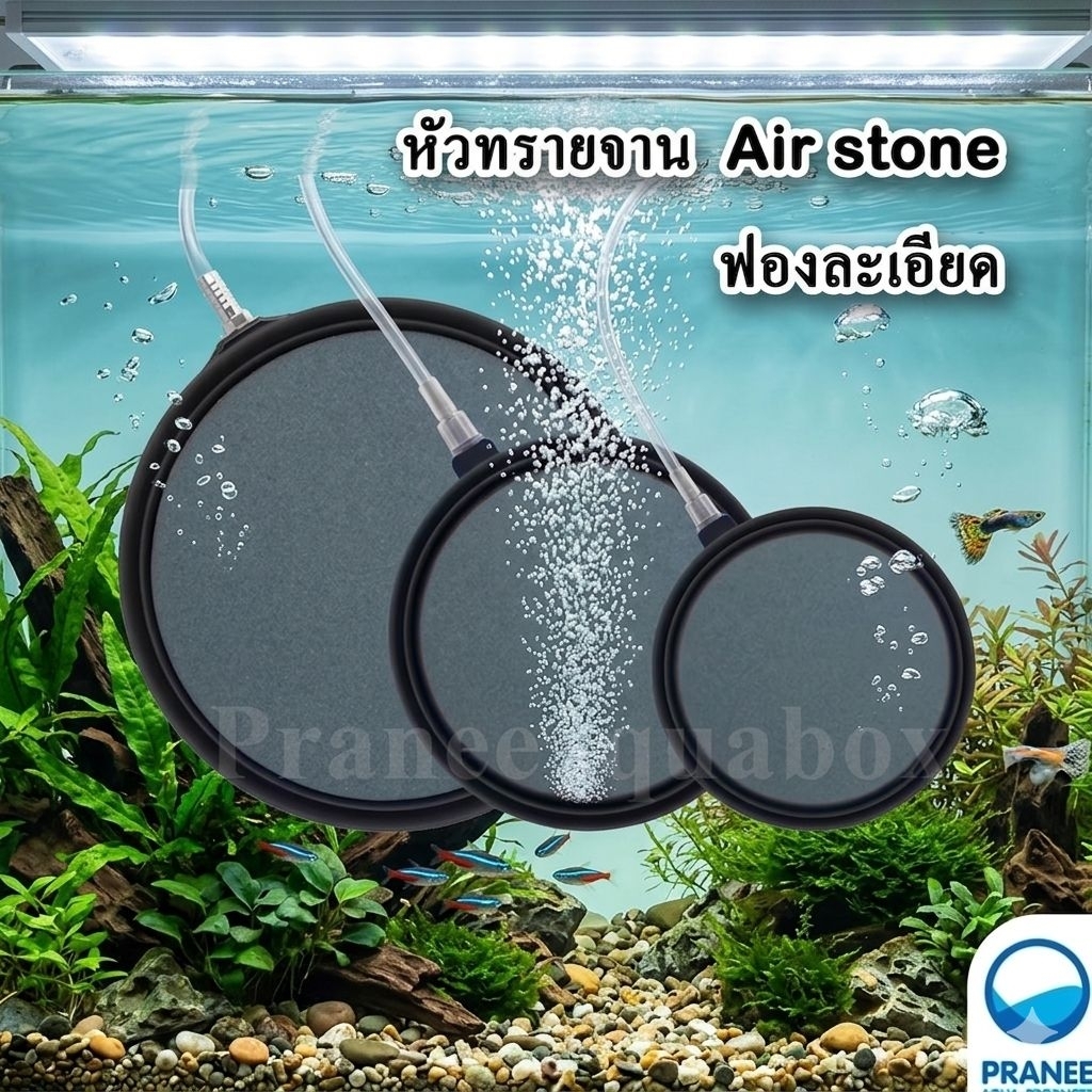 หัวทรายจานแบบมีขอบป้องกัน ออกซิเจนตู้ปลา เนื้อละเอียด มีขอบ มี 3 รุ่น AS-01/ AS-02/ AS-03