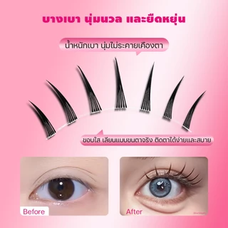 Dreehalo ขนตาปลอมญี่ปุ่น 4 รุ่นดัง ธรรมชาติ-หวาน-การ์ตูน แกนใส/ดำ ขึ้นกล้องปัง มือใหม่ห้ามพลาด F303