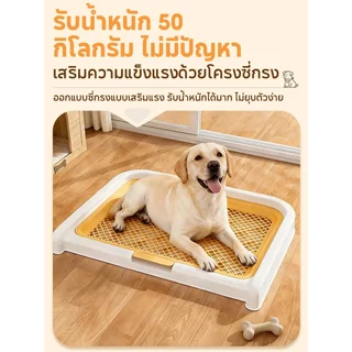 ถาดรองฉี่สุนัข ห้องน้ำสุนัข ถาดรองฉี่สัตว์เลี้ยง 2 ชั้น มีเสาถอดได้ ทนทานนานมาก ระบายน้ำดี ลดกลิ่นอับชื้น