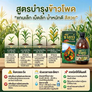 [ส่งไว❤️รับประกันของแท้] บีโกรว์ B grow 100 ซีซี ฉีดได้10ไร่ เพิ่มภูมิคุ้มกัน เร่งลำเลียงอาหาร รากยาวข้าวแตกกอเยอะ