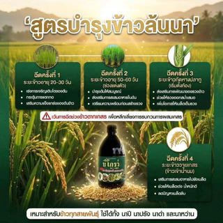 [ส่งไว❤️รับประกันของแท้] บีโกรว์ B grow 100 ซีซี ฉีดได้10ไร่ เพิ่มภูมิคุ้มกัน เร่งลำเลียงอาหาร รากยาวข้าวแตกกอเยอะ