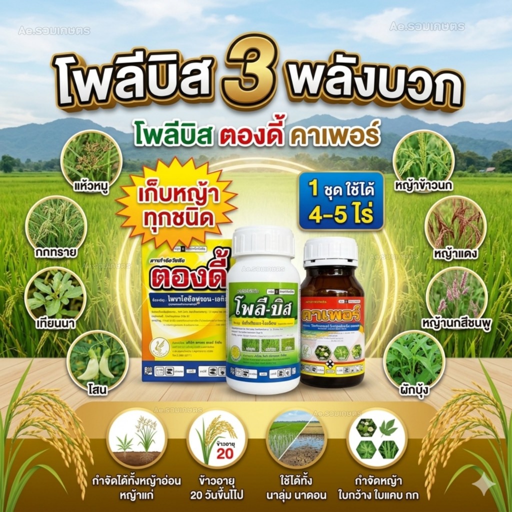 ยาฆ่าหญ้าในนาข้าว ยาฆ่าหญ้า 3พลังบวก โพลีบิส + ตองดี้ + คาเพอร์ ( บิสไพริแบคโซเดียม + ไพราโซซัลฟูรอน + ไตรโครเพอร์ )