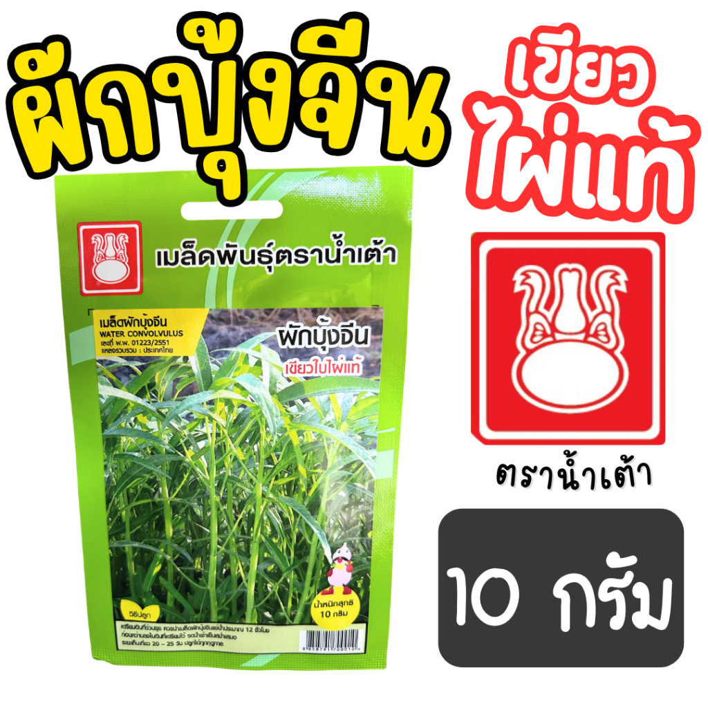 เมล็ดผักบุ้งจีน ตราน้ำเต้า 10g (เขียวใบไผ่แท้) เมล็ดผักบุ้ง ปลูกดิน ไฮโดรโปนิกส์ กระถาง งอกดี ส่งไว