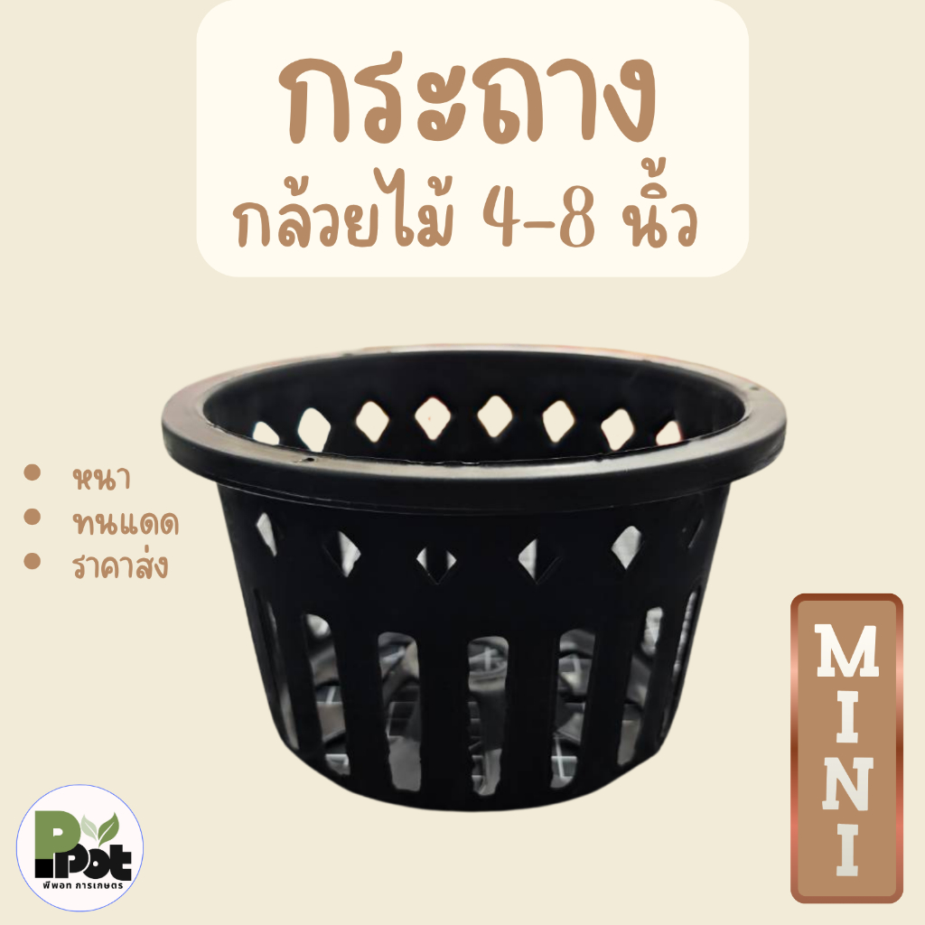 กระถางต้นไม้ รุ่นกล้วยไม้ 4-8 นิ้ว กระถางสีดำรูกลวง ขนาด 4 6 8 นิ้ว