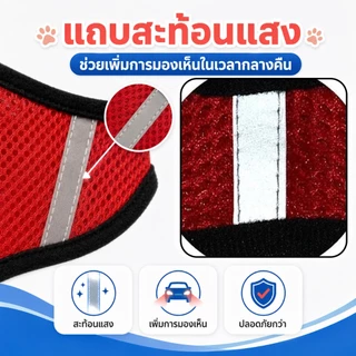 PETWELL สายรัดอกแมวพร้อมสายจูง สายรัดอกสุนัข ระบายอากาศได้ดี สำหรับแมวและสุนัขตัวเล็ก