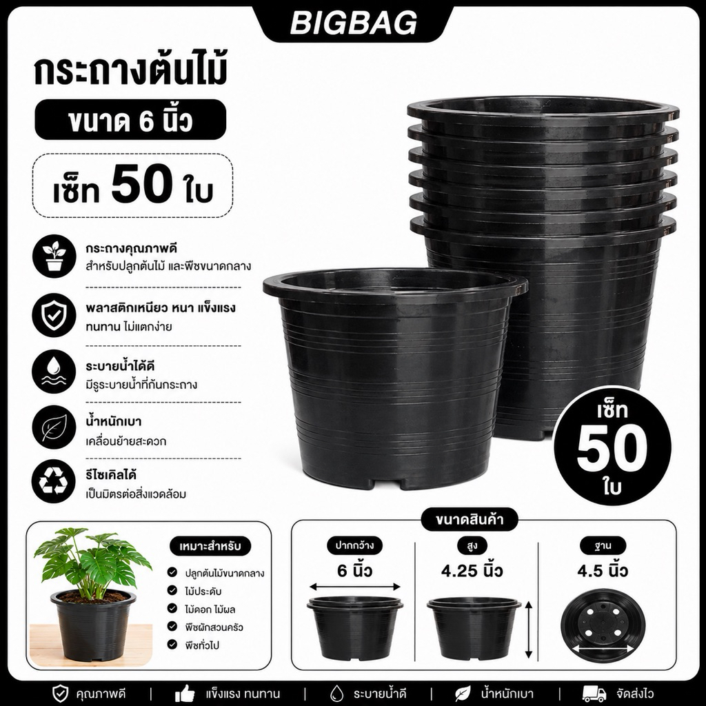 กระถางแคคตัส กระถางกระบองเพชร กระถางต้นไม้ ปากกว้าง 6 นิ้ว เซ็ท 50 ใบ