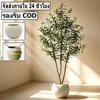 🌿พร้อมส่งจากไทย🌿 ต้นมะกอกปลอม ต้นไม้ปลอม ต้นไม้ปลอมใหญ่ ความจำลอง 99% สำหรับตกแต่งบ้านและสว