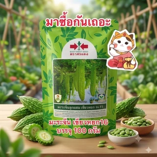 เขียวหยก16 เมล็ดพันธุ์มะระจีน ตราศรแดง (สิ้นอายุ 05/70) บรรจุ100กรัม/ซอง