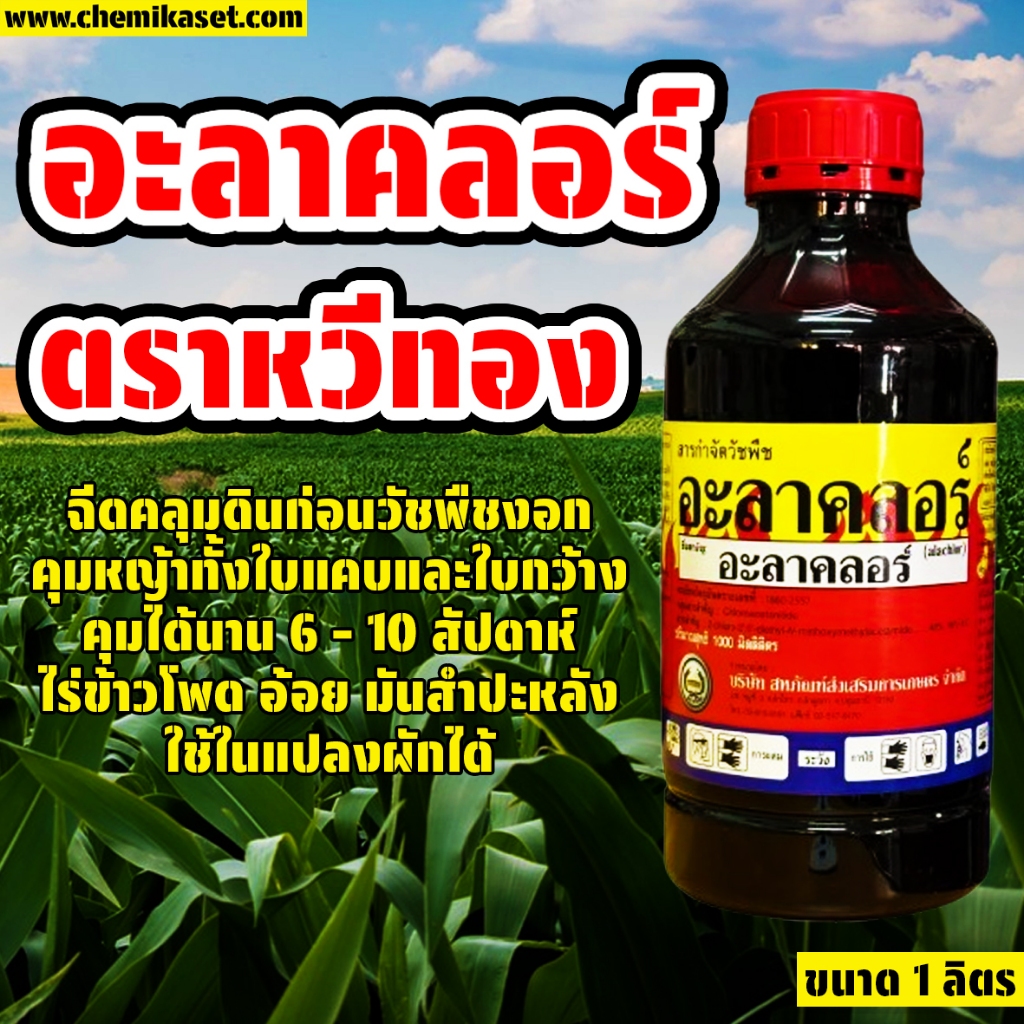 อะลาคลอร์ ตรา หวีทอง ขนาด 1 ลิตร ยาคุมหญ้า ใบแคบและใบกว้าง