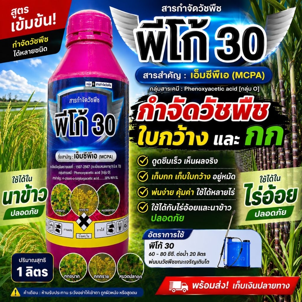พีโก้ (MCPA) กำจัดวัชพืชใบกว้างและกก ในนาข้าว-ไร่อ้อย ปลอดภัยต่อข้าวและอ้อยไม่อานยาไม่เหลือง ไม่แดง กอไม่แบะ