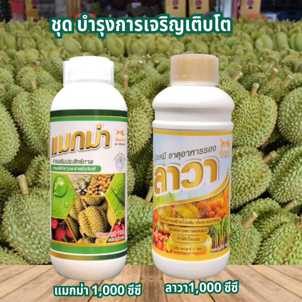 ❗ ส่งฟรี ❗ แมกม่าลาวา แมกม่า สารจับใบ ต้านเพลี้ยลดการหลุดร่วง + ปุ๋ยนำ้ลาวา เร่งฟื้นฟูต้น เพิ่มปริมาณผลผลิต