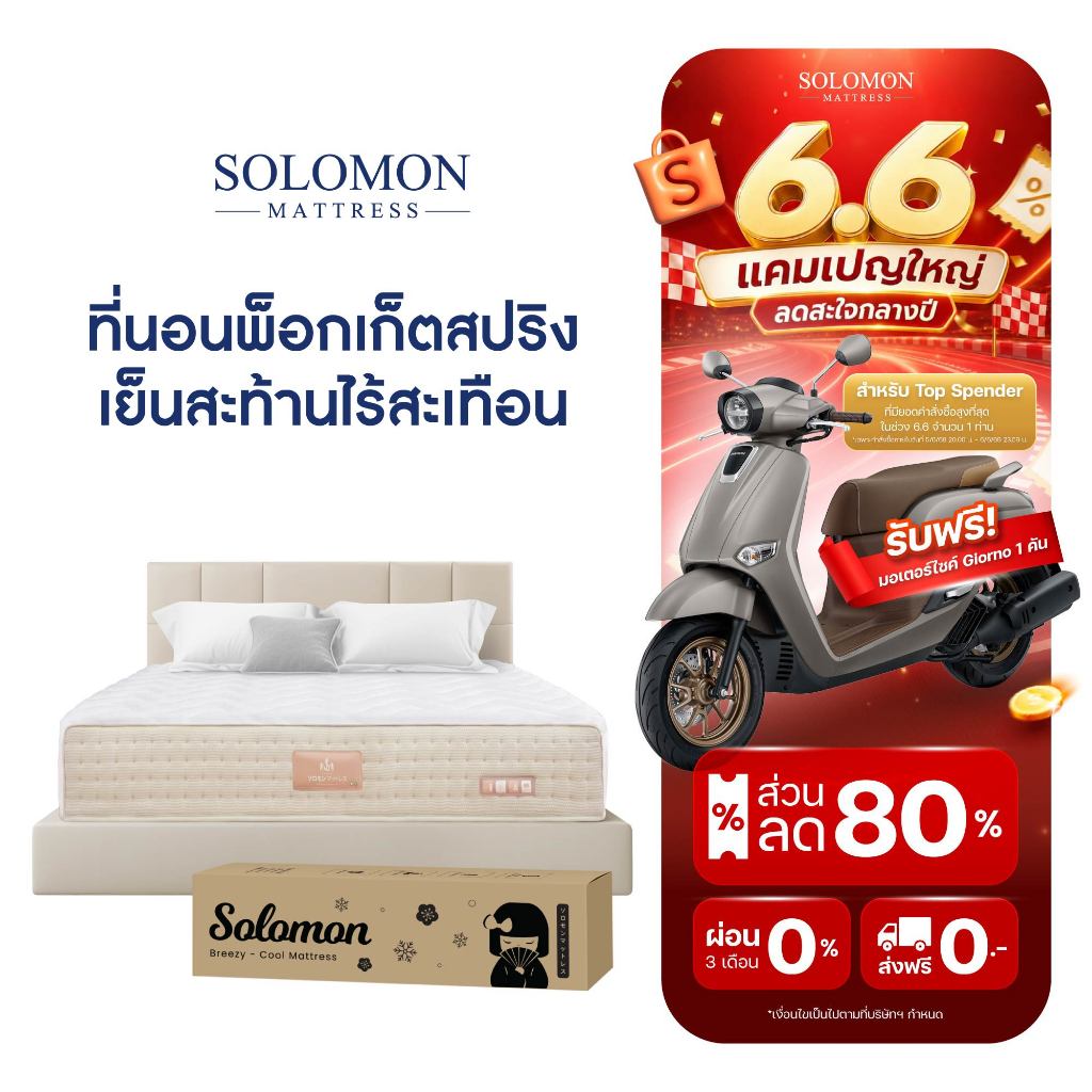 SOLOMON ที่นอนเย็นสะท้าน ไร้สะเทือน ที่นอนพ็อกเก็ตสปริง หนา 10 นิ้ว จัดส่งแบบสุญญากาศ