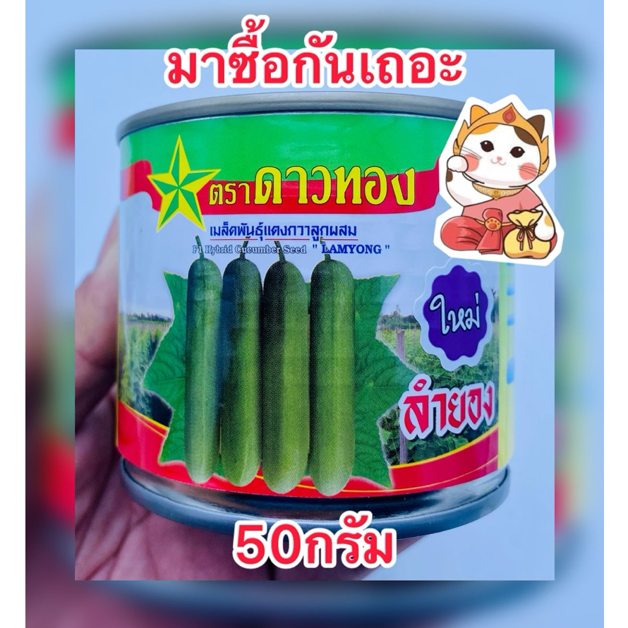 ลำยอง ใหม่ เมล็ดพันธุ์แตงกวา ตราดาวทอง (สิ้นอายุ 11/70)บรรจุ50กรัม/กระป๋อง
