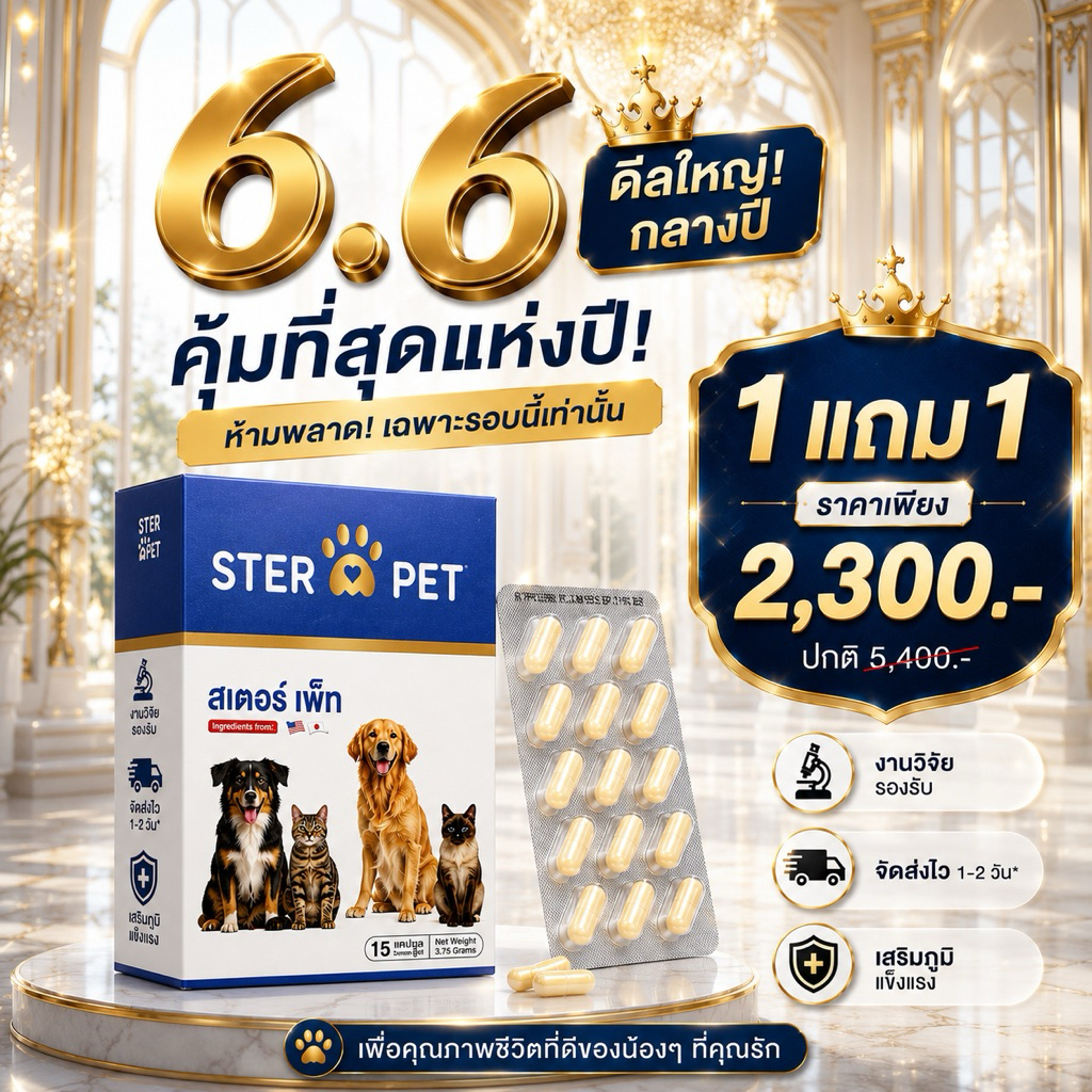 สเตอร์เพ็ท - STER PET 1 แถม 1 🐶🐱สารอาหารเสริมภูมิคุ้มกัน ดูแลก้อนเนื้องอก ยับยั้งมะเร็ง ลดปวดอักเสบ