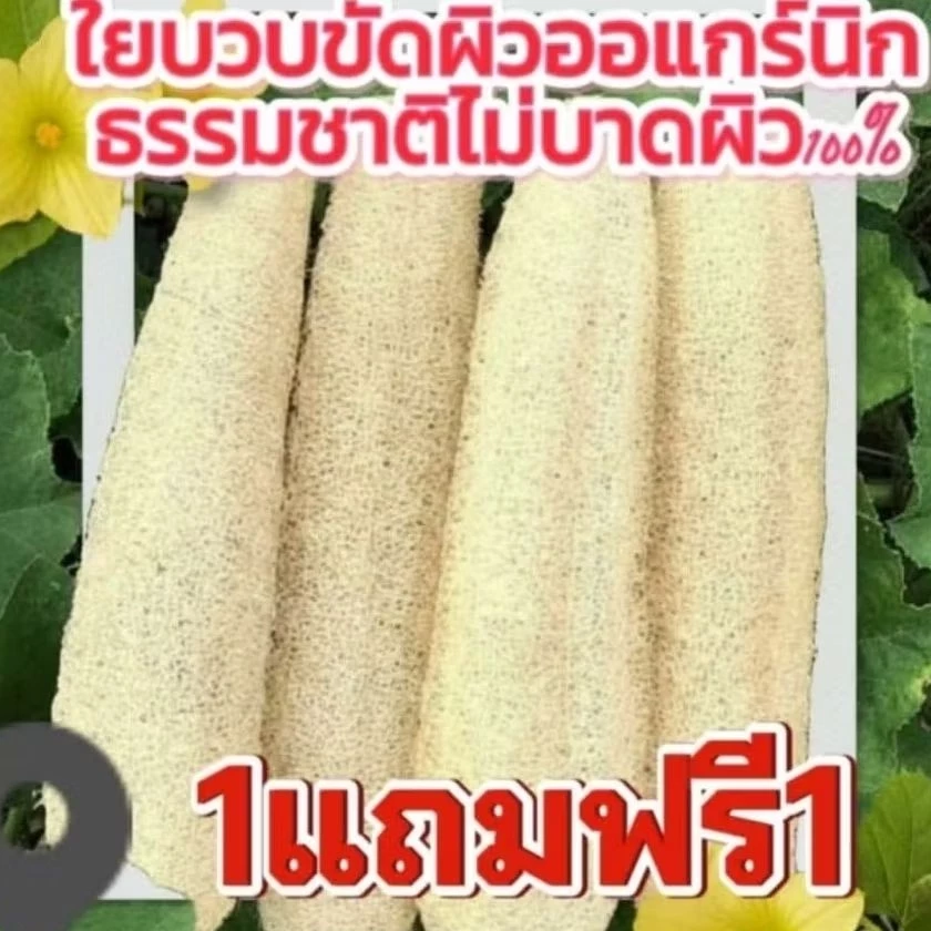 ใยบวบขัดผิว1แถม1โปรเด็ด ใยบวบขัดตัว ใยบวบธรรมชาติ(ใยบวบมีหลายตัวเลือก)