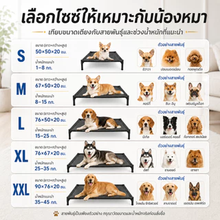 PETWELL เตียงสัตว์เลี้ยง ที่นอนหมา รับน้ำหนัก 100kg เตียงสุนัขผ้าตาข่าย ระบายอากาศ ป้องกันความชื้น
