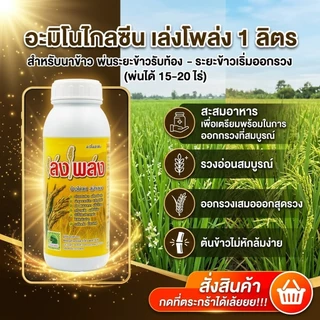 ฮอร์โมนนาข้าวลมเบ่ง เล่งโพล่ง บรรจุ1 ลิตร พ่นข้าวระยะรับท้อง-กลัดหางปลาทู ออกรวงเสมอ ข้าวไม่หักล้มง่าย เมล็ดเต่งเมล็ดใส
