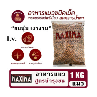 Maxima Lv. 1kg อาหารแมวเกรดพรีเมี่ยมแมกซิม่า คุมเค็ม บำรุงขนและผิวหนัง