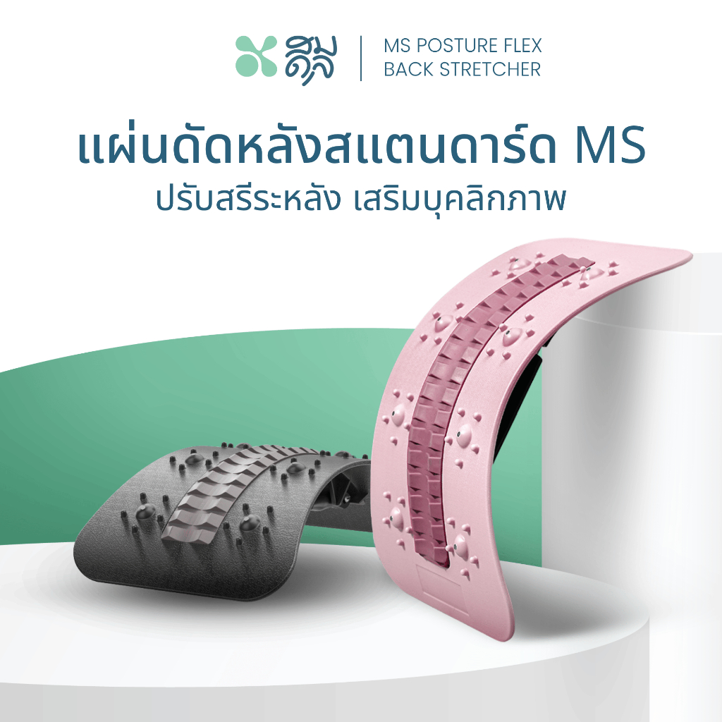 SOMDUL แผ่นดัดหลังสแตนดาร์ด รุ่น MS แผ่นดัดหลังปรับสรีระ ปรับระดับได้