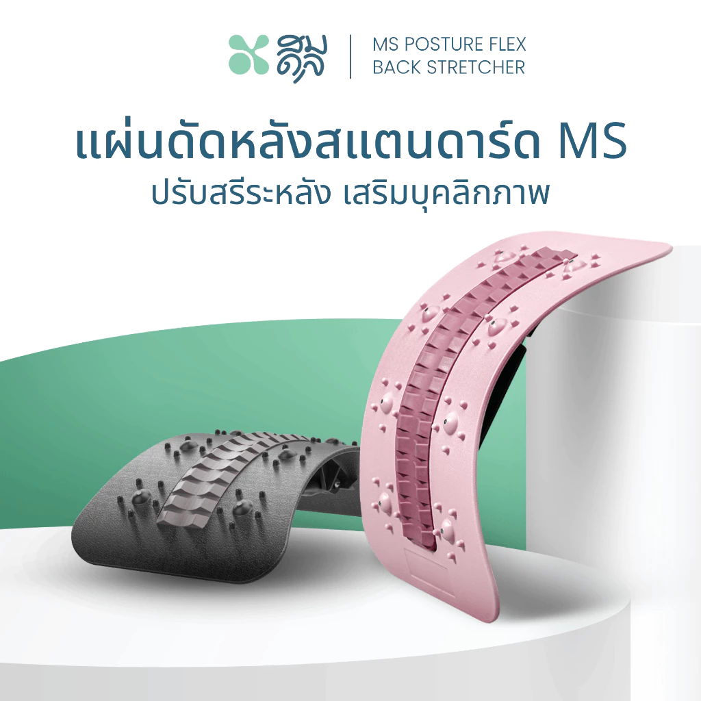 SOMDUL แผ่นดัดหลังสแตนดาร์ด รุ่น MS แผ่นดัดหลังปรับสรีระ ปรับระดับได้