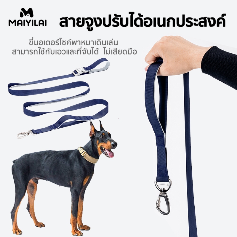 2M สายจูงสุนัข พร้อมที่จับ โซ่สุนัข หมา เชือกลวดเหล็ก เชือกจูงสัตว์เลี้ยง เหมาะสำหรับสุนัขทุกตัว