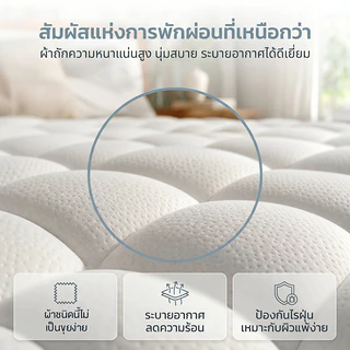 GreaMe ที่นอนหนา 8 นิ้ว พ็อกเก็ตสปริง ไร้เสียง 7 โซนรองรับสันหลัง เหมาะห้องเช่า ขนาด 3.5/5/6 ฟุต